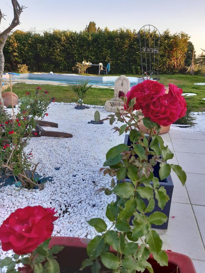 Petit Coin De Detente Seyresse المظهر الخارجي الصورة
